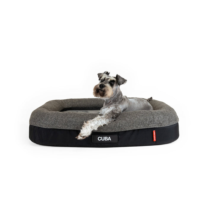 Dog in Ortho Calm Elite Dog Bed
