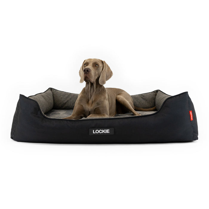 EzyDog 2-in-1 Ortho Smart Dog Bed size XL with dog for scale