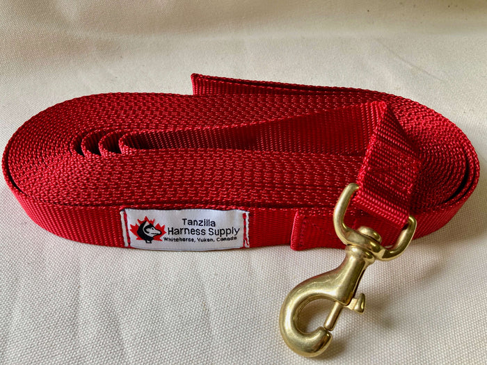 30' Training Leash