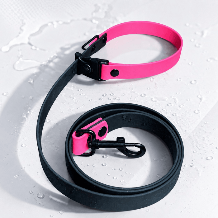 5ft BioThane Leash — Waterproof hundhaus Sport