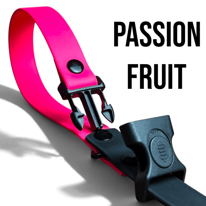 5ft BioThane Leash — Waterproof hundhaus Sport