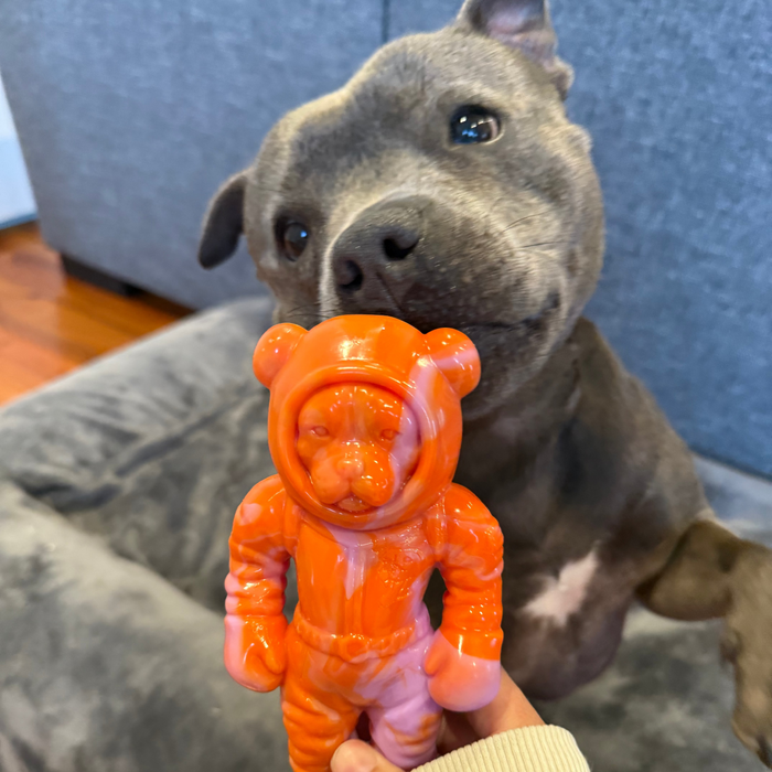 Treat & Toy Combo (Chewzilla® Galactic Quest Collection)
