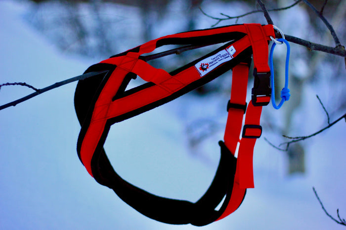 Adventure Harness