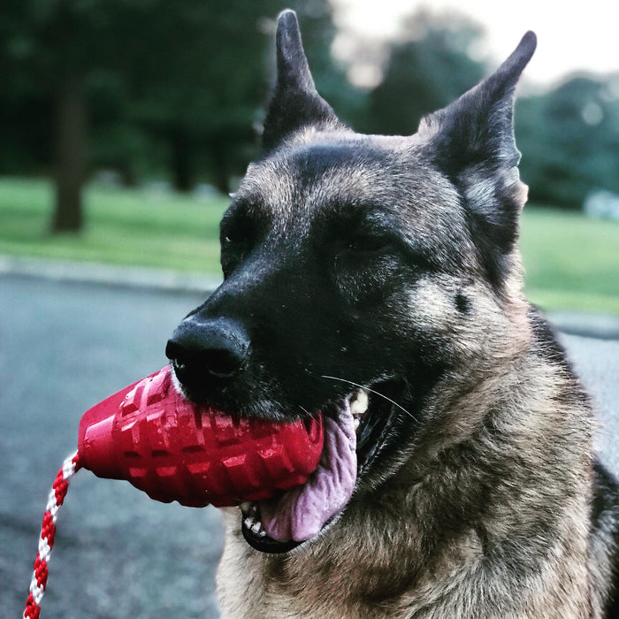 Army Green Grenade Rope Reward Toy
