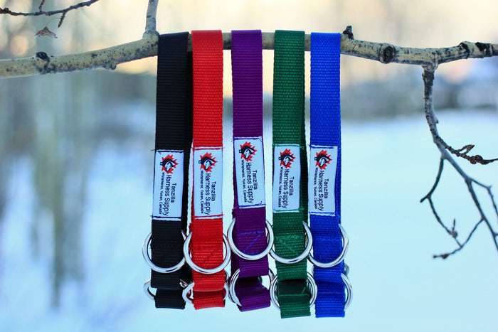 Basic Collar