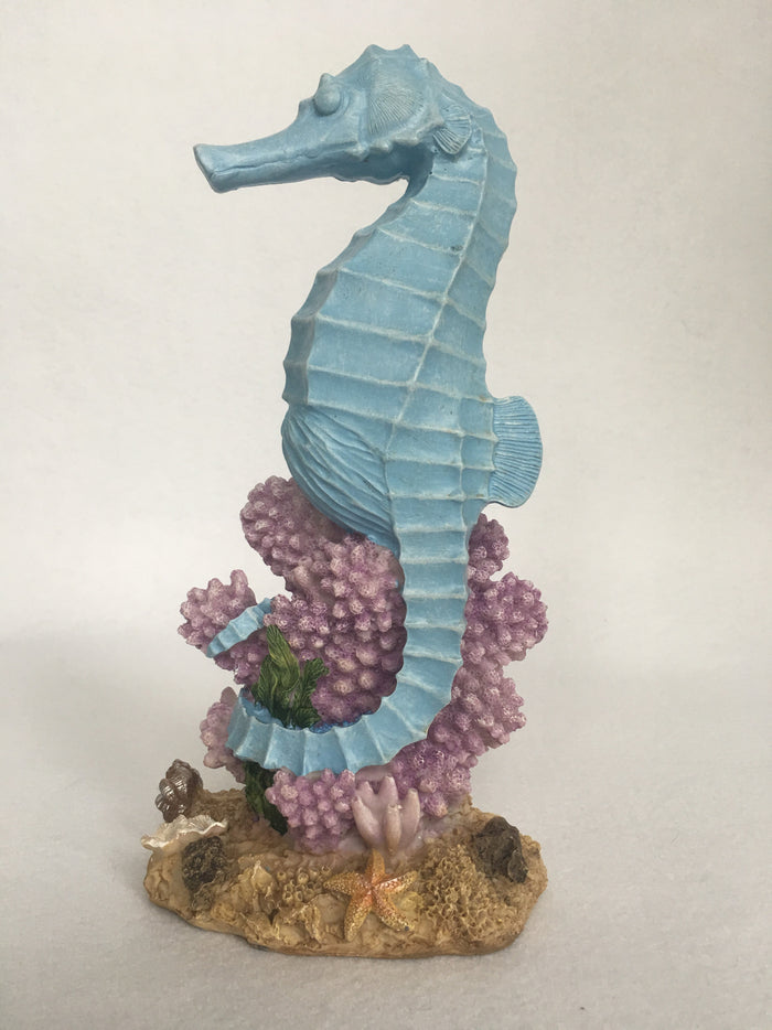 Beach Sea Horse Display