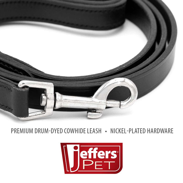 Black Leather Walking Lead with a Padded Handle