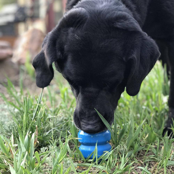 Blue Double Chamber Treat Toy