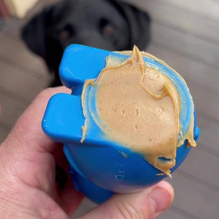 Blue Hollow Bunny Nylon Treat Toy