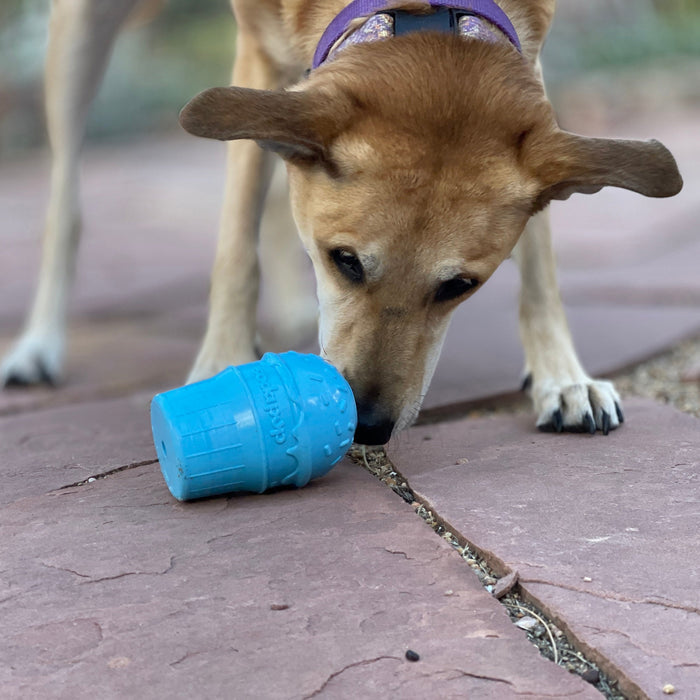 Blue Ice Cream Cone Treat Toy