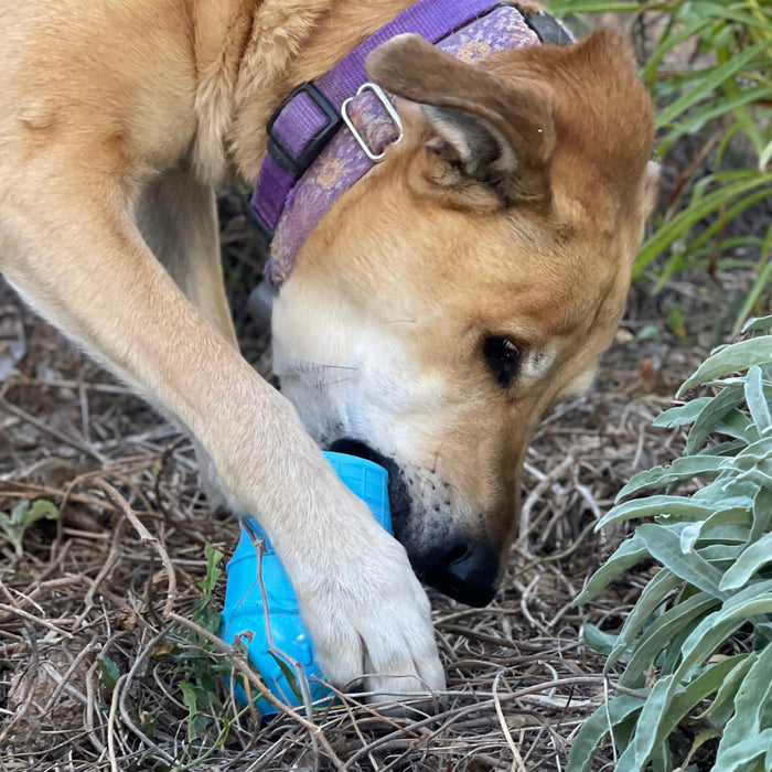 Blue Ice Cream Cone Treat Toy