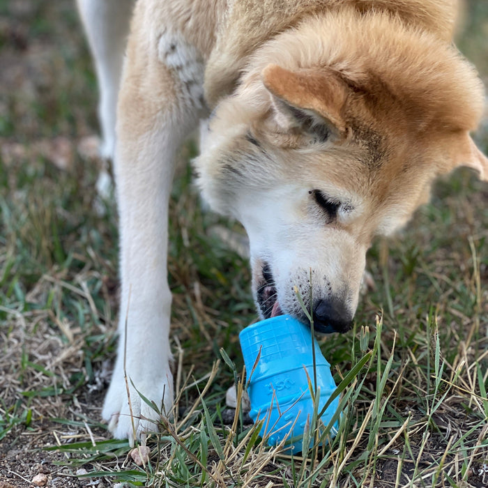 Blue Ice Cream Cone Treat Toy