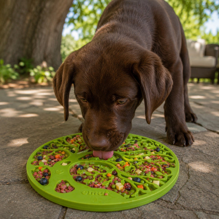Branching-Tree Licking Mat with Suction Cups