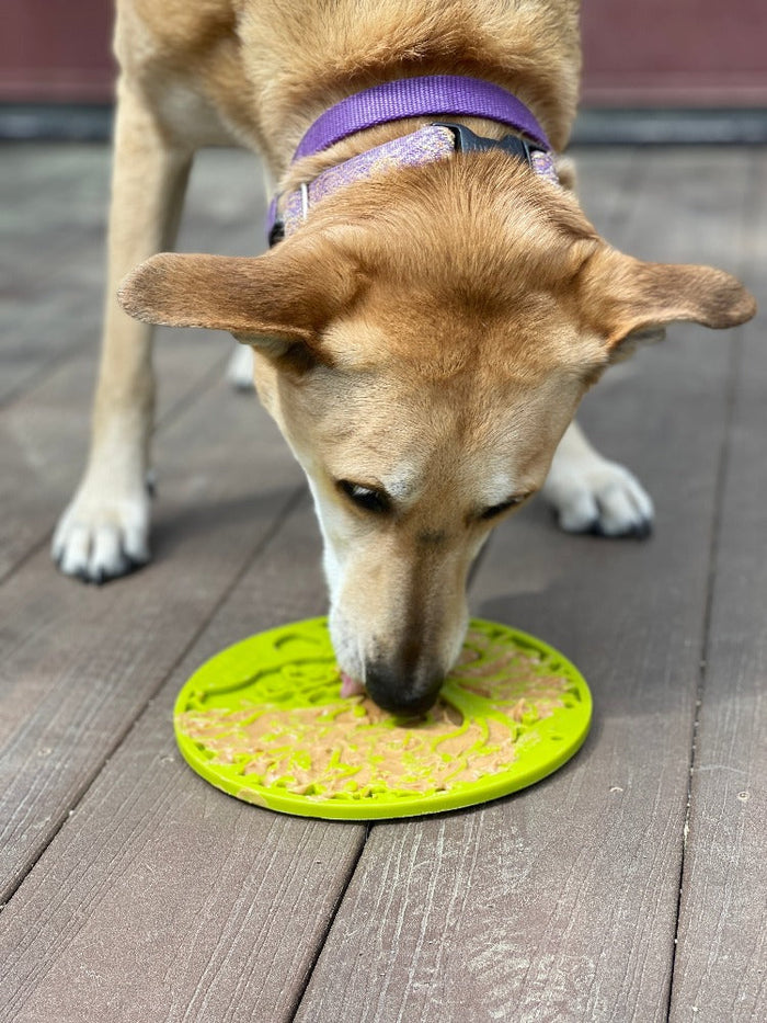 Branching-Tree Licking Mat with Suction Cups