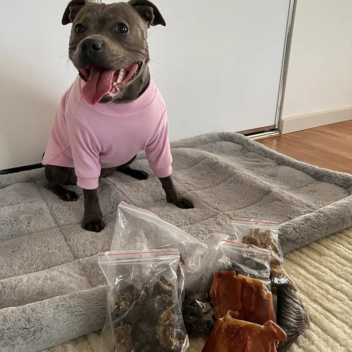 Bully Sticks (Beef Pizzle Thick)