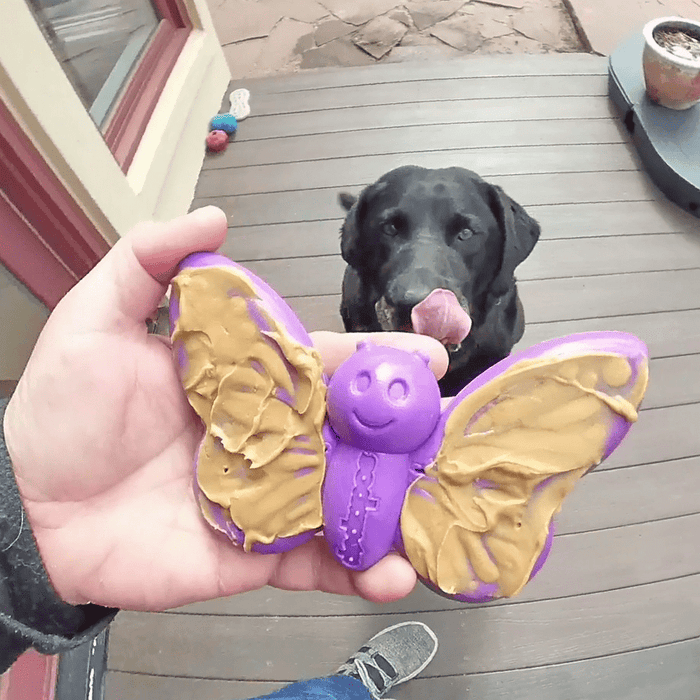 Butterfly Wing Nylon Treat Toy