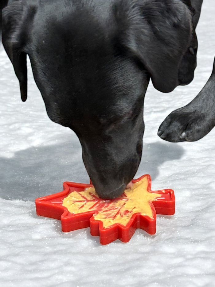 Canadian Maple Leaf Nylon Treat Toy