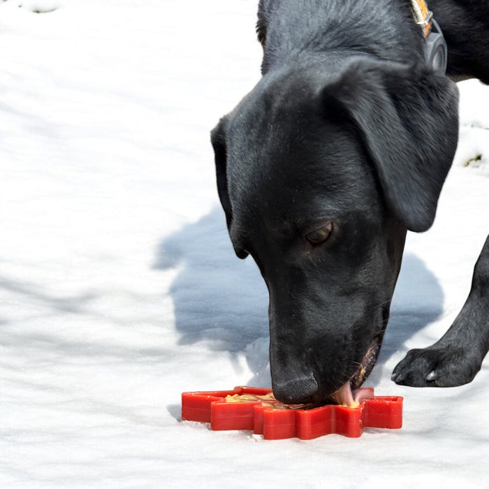 Canadian Maple Leaf Nylon Treat Toy