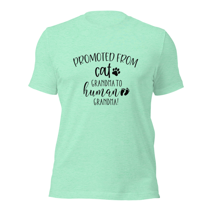 Cat Grandma T Shirt — Promoted to Human Grandma