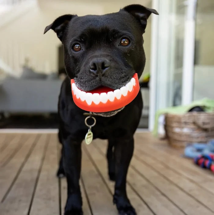Chatter Chompers