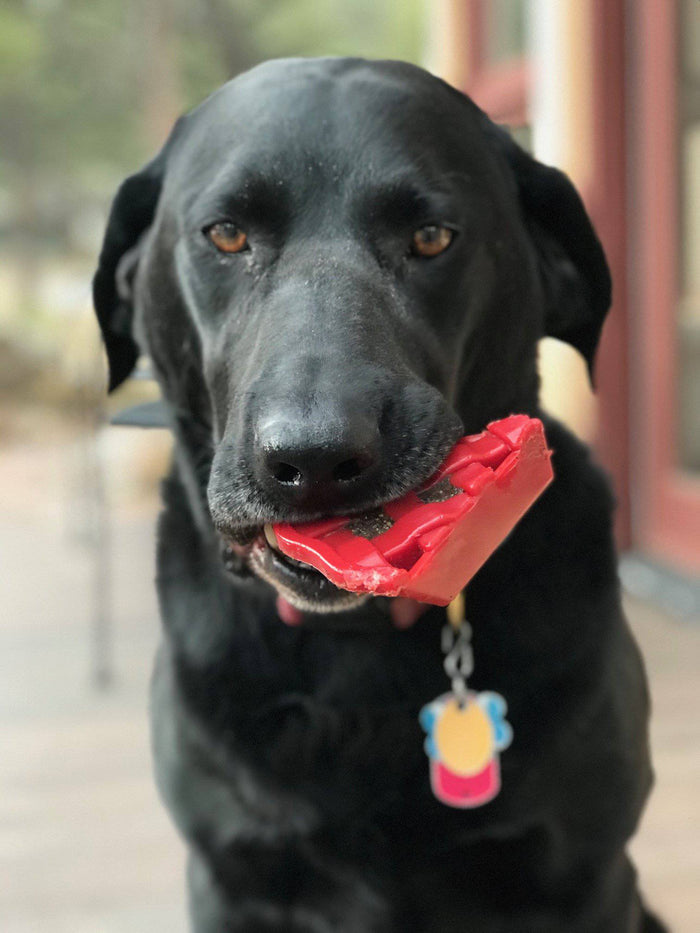 Cherry Pie Slice Nylon Treat Toy