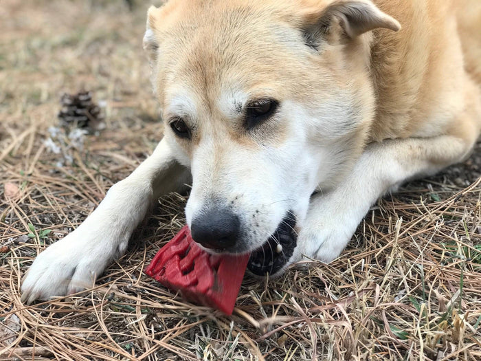 Cherry Pie Slice Nylon Treat Toy