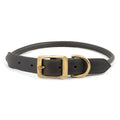 Chestnut Rolled Collar with Brass Fittings