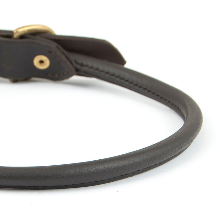 Chestnut Rolled Collar with Brass Fittings