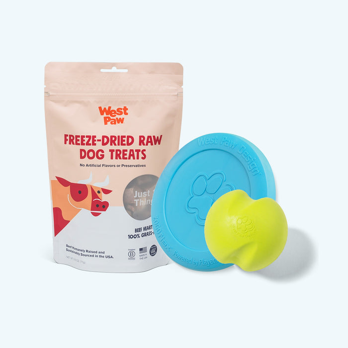 Chew and Chomp Starter Kit - West Paw Jive ball, Zisc frisbee and Beef Heart freeze-dried treats shown together