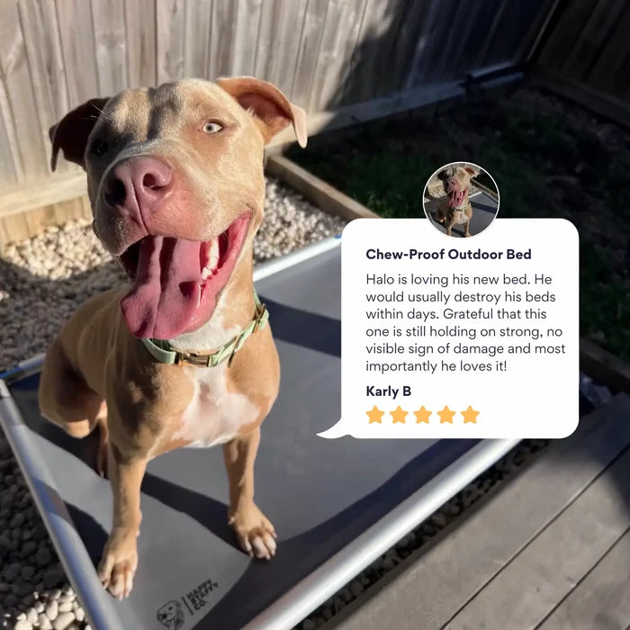 Chew-Proof Outdoor Bed