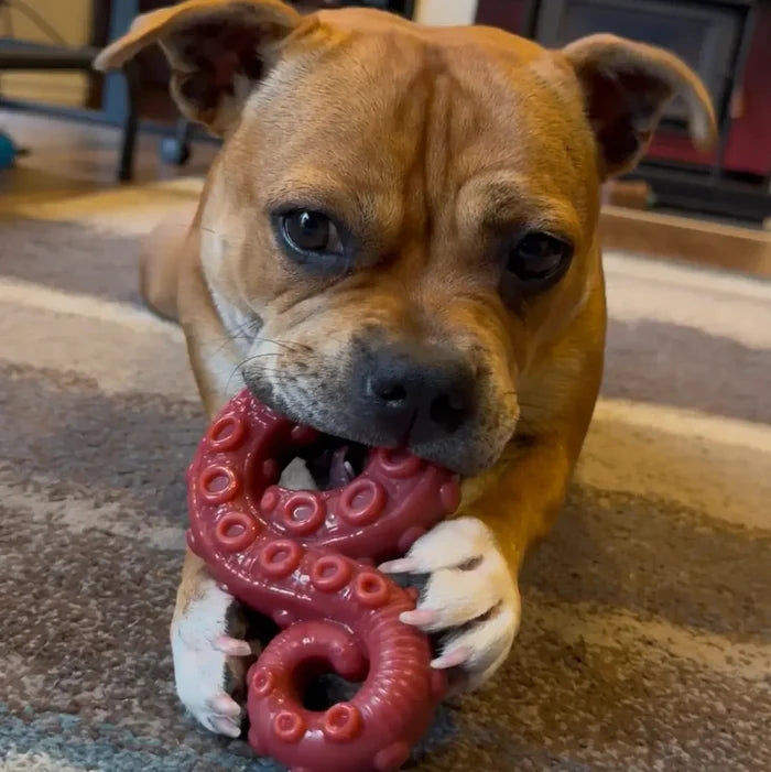Chewzilla® Deep Sea Mission