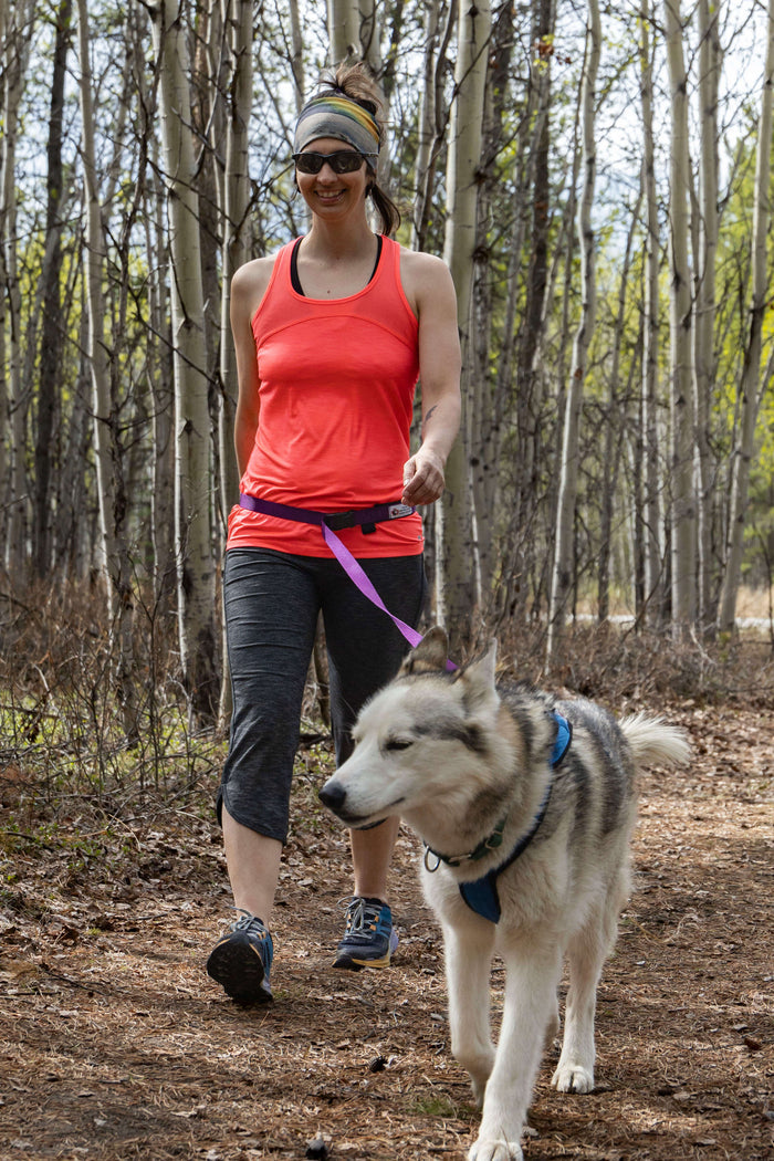 Chilkoot Hands Free Leash