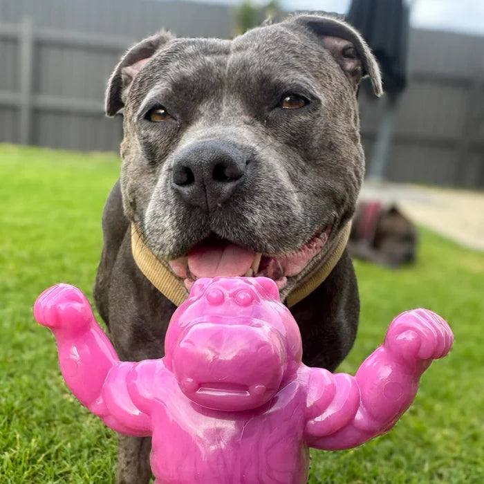 Chomp-o-potamus
