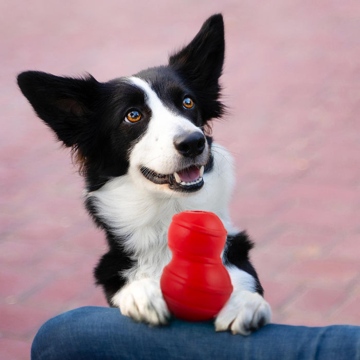 Classic Red Stuffable Toy for Treat Play