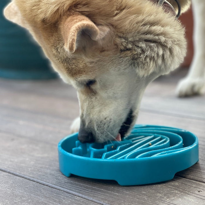 Coastal-Pattern Feeding Tray with Shallow Sections