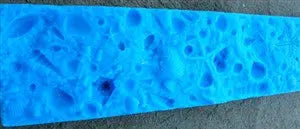 Concrete Edge Form Liner - 4" Coral Reef Sea Life PNL Liners