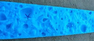 Concrete Edge Form Liner - 4" Coral Reef Sea Life PNL Liners