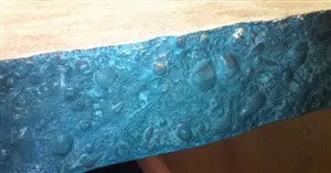 Concrete Edge Form Liner - 4" Coral Reef Sea Life PNL Liners