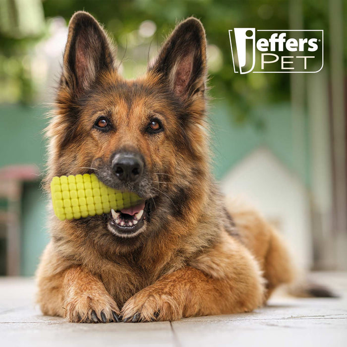 Corn-Cob Treat Toy with Openings at Both Ends