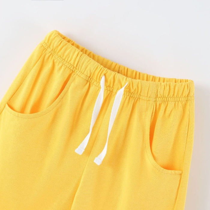 Cute Lion Design Top with Matching Shorts Set