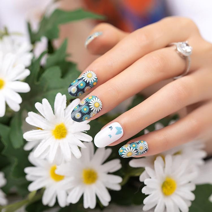 Daisy's and Butterflies-0