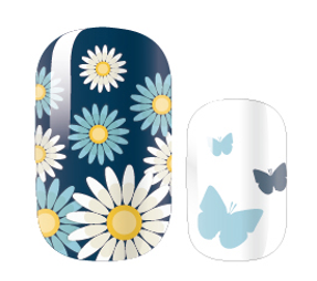 Daisy's and Butterflies-1