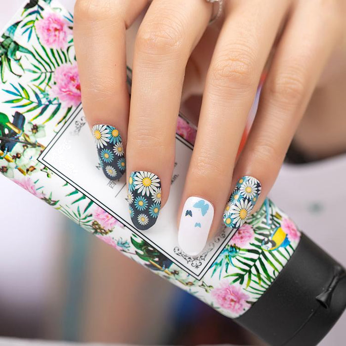 Daisy's and Butterflies-2