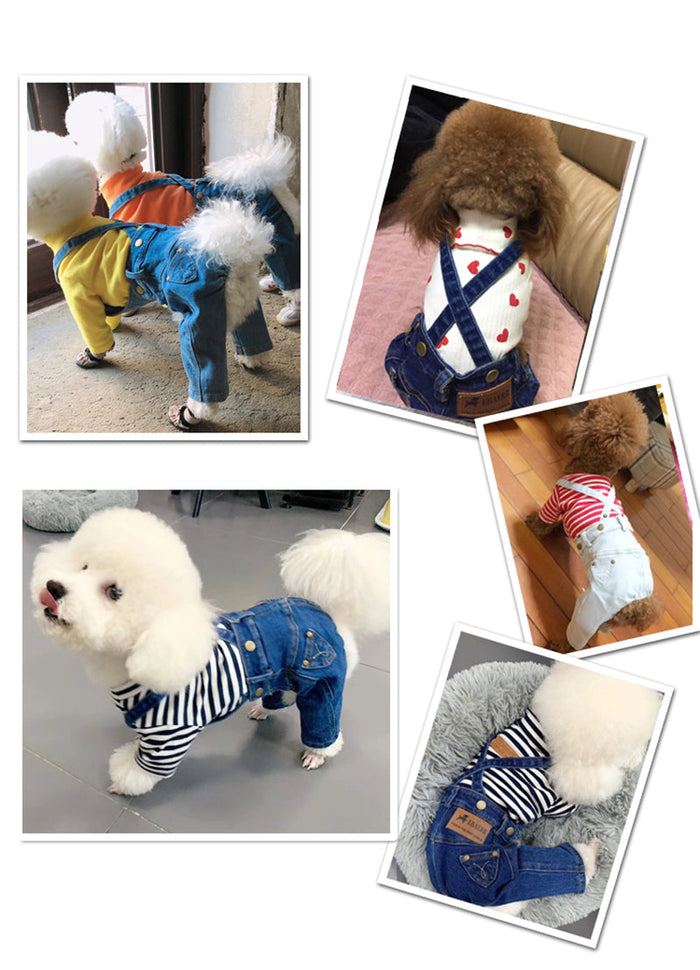 Denim Dog Clothes