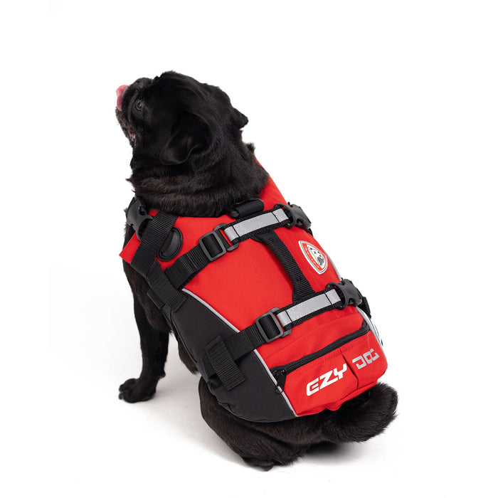 Pug with EzyDog DFD Standard Dog Life Jacket