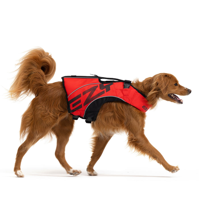 Medium sized dog with DFD X2 Boost dog life jacket