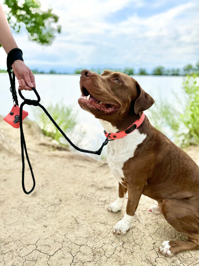Dog Leash Hand Grip
