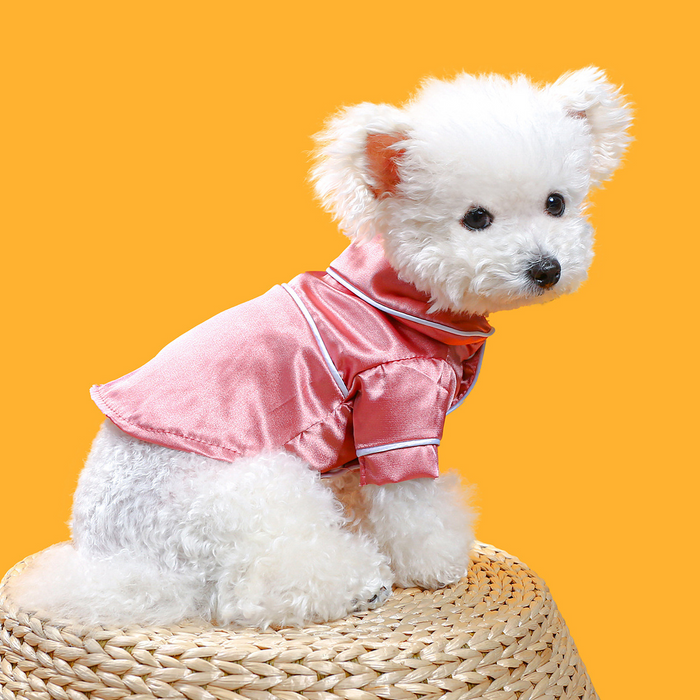 Dog Pajamas For Small Dogs
