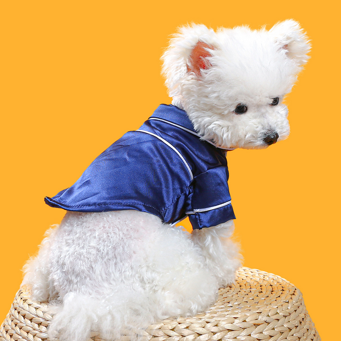 Dog Pajamas For Small Dogs
