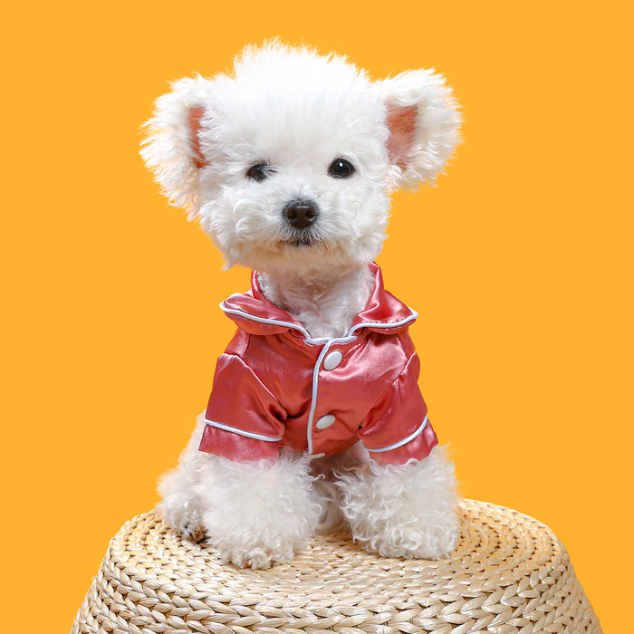 Dog Pajamas For Small Dogs